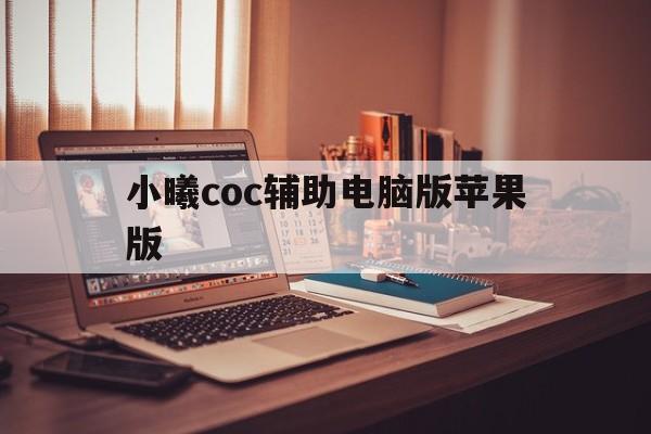 小曦coc辅助电脑版苹果版(小曦coc免费辅助怎么设置最好)-第2张图片-有道翻译官网